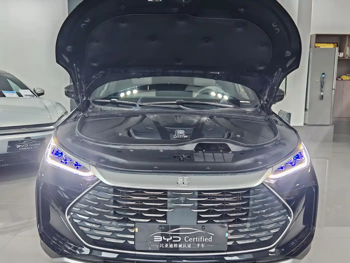 BYD Tang New Energy 2024 DM-p Champion Edition 215KM 4WD Premium фото 2