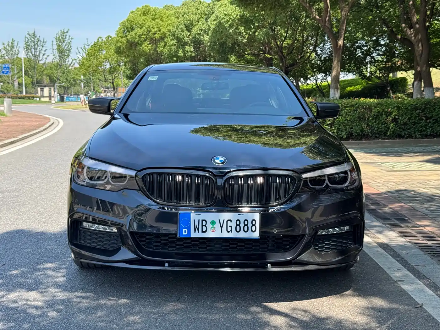 BMW 5 Series 2018 530Li Leading M Sport Package фото 2