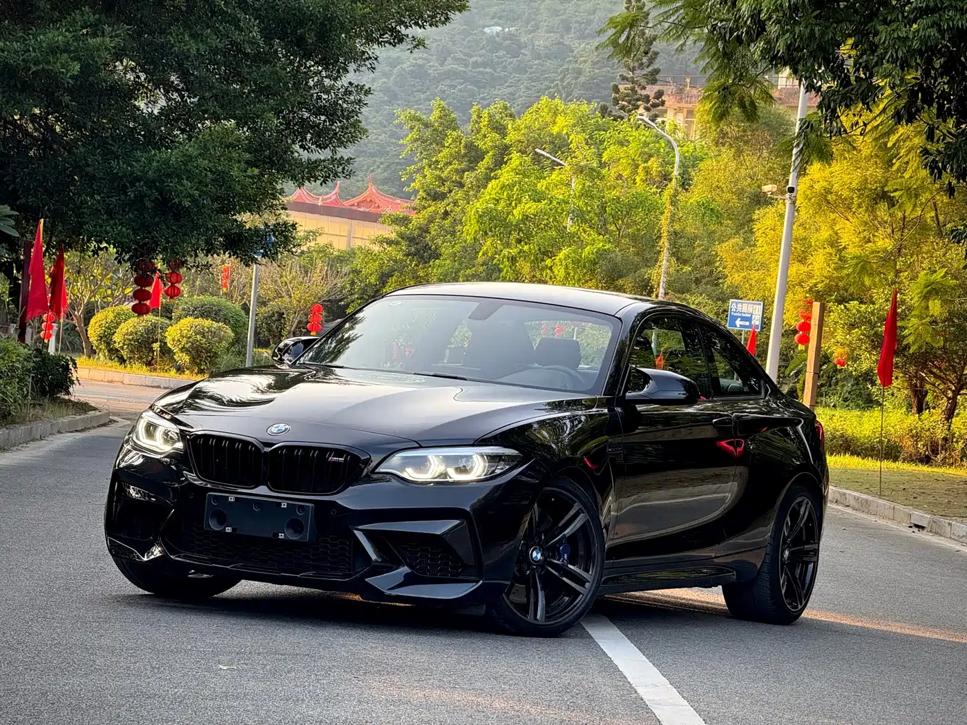 BMW M2 2019 2018 M2 Thunder Edition