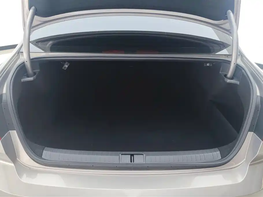 Volkswagen Magotan 2020 330TSI DSG Luxury фото 4