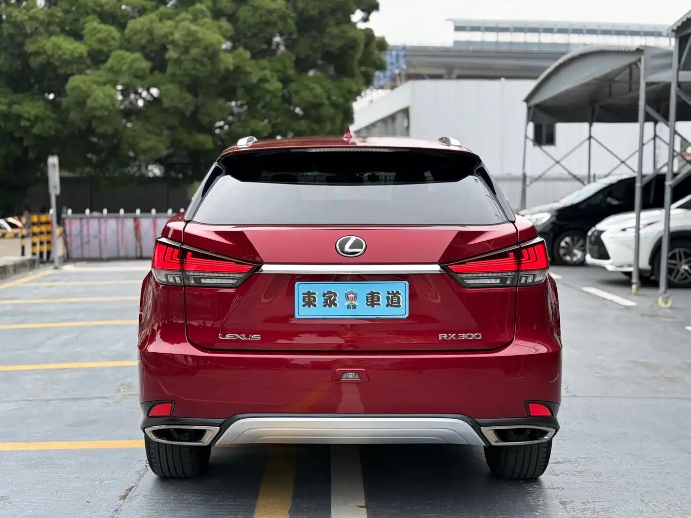 Lexus RX 2020 300 4WD Elegance Edition China VI фото 6