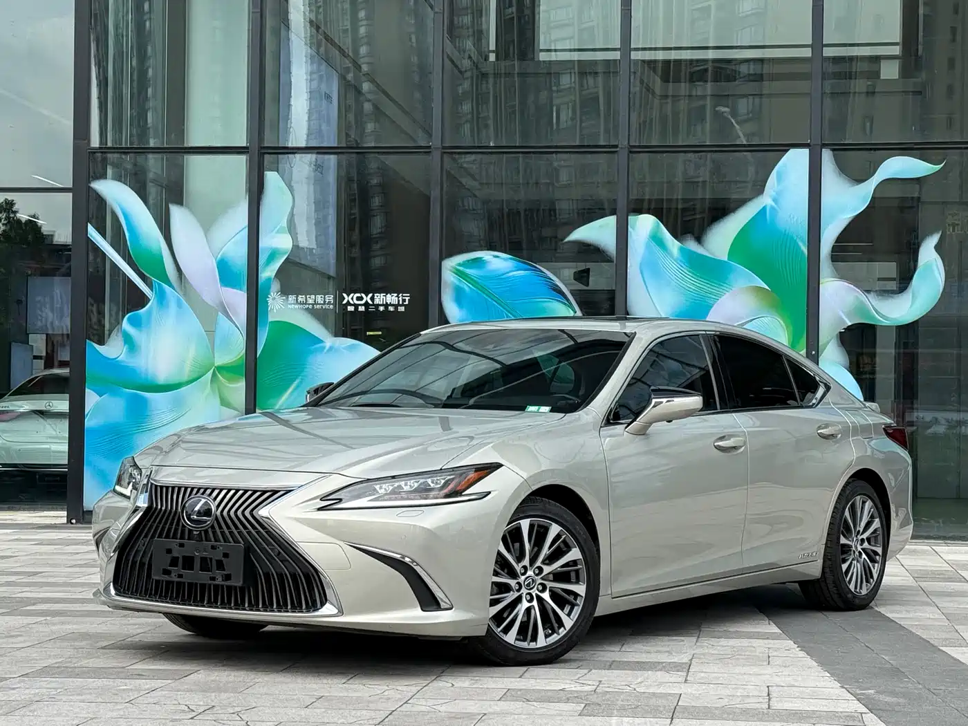 Lexus ES 2018 300h Premium Edition China V