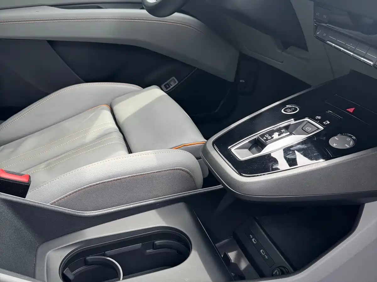 Audi Q5 e-tron 2022 40 e-tron Starlight Edition Brocade Package фото 19