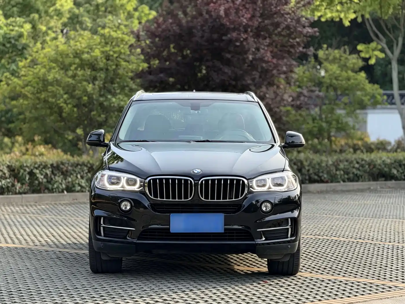 BMW X5 (Import) 2017 xDrive35i Elegance фото 4