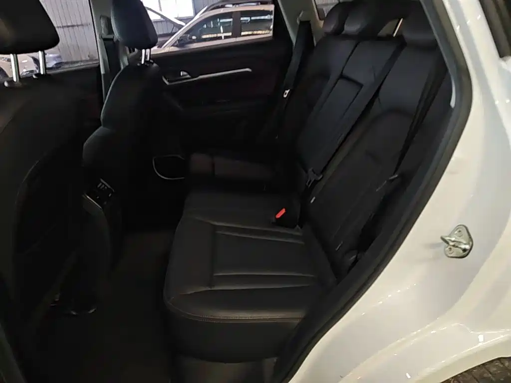 Haval H6 Coupe 2018 Red Label 1.5T Auto 2WD Luxury Edition фото 17