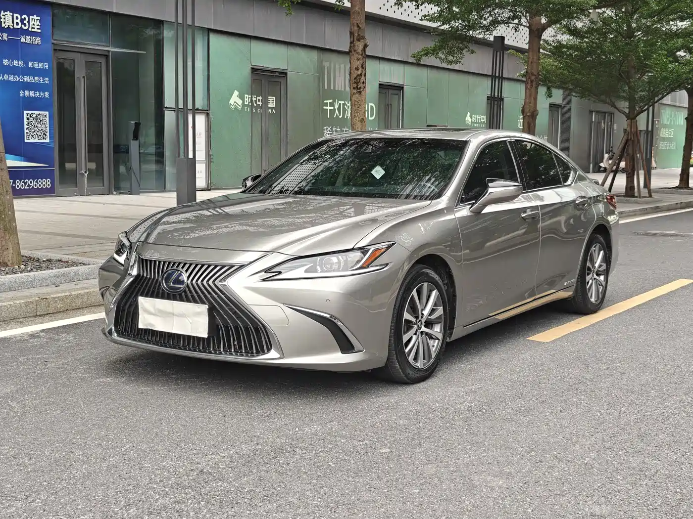 Lexus ES 2018 300h Excellence Edition China V