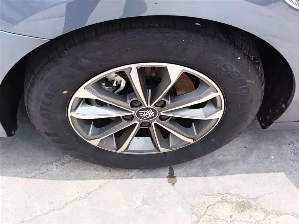 BYD Qin PLUS 2024 Glory Edition DM-i 55KM Leading фото 23