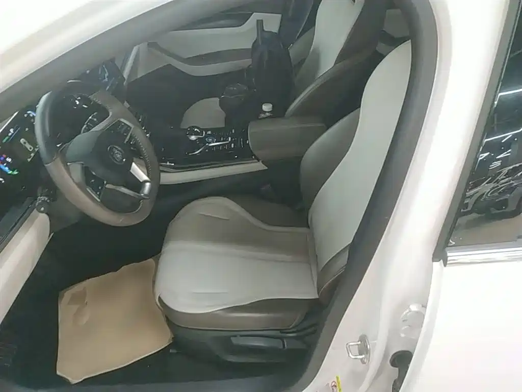 BYD Qin PLUS 2024 Glory Edition DM-i 55KM Leading фото 15
