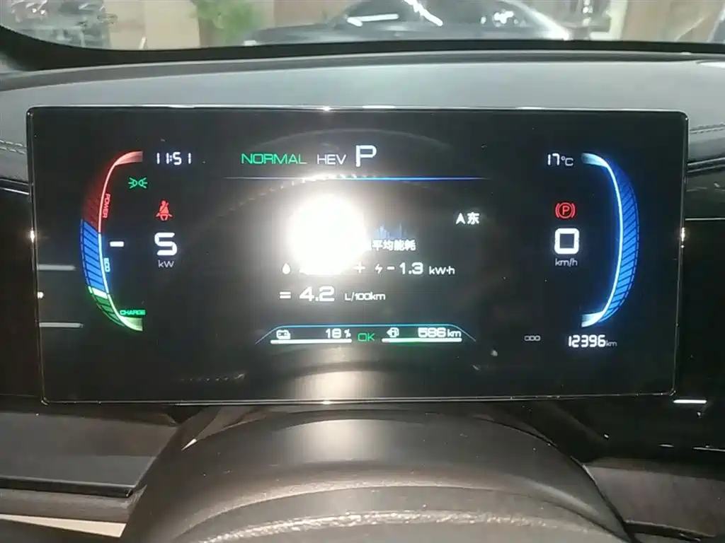 BYD Qin PLUS 2024 Glory Edition DM-i 55KM Leading фото 12