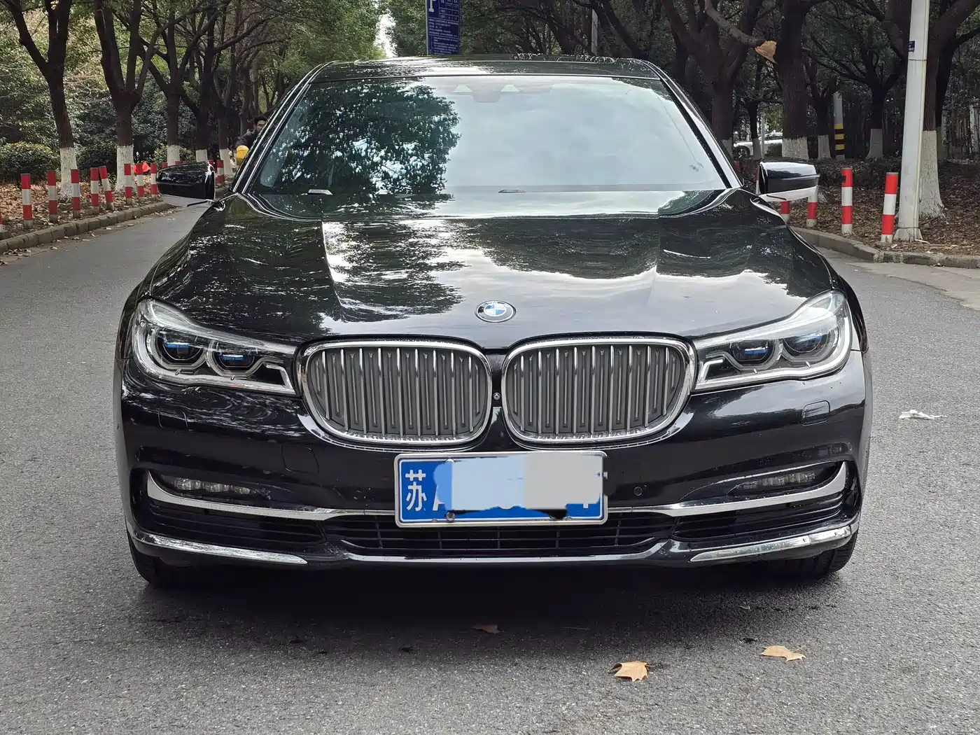BMW 7 Series 2017 740Li xDrive Luxury Edition фото 2