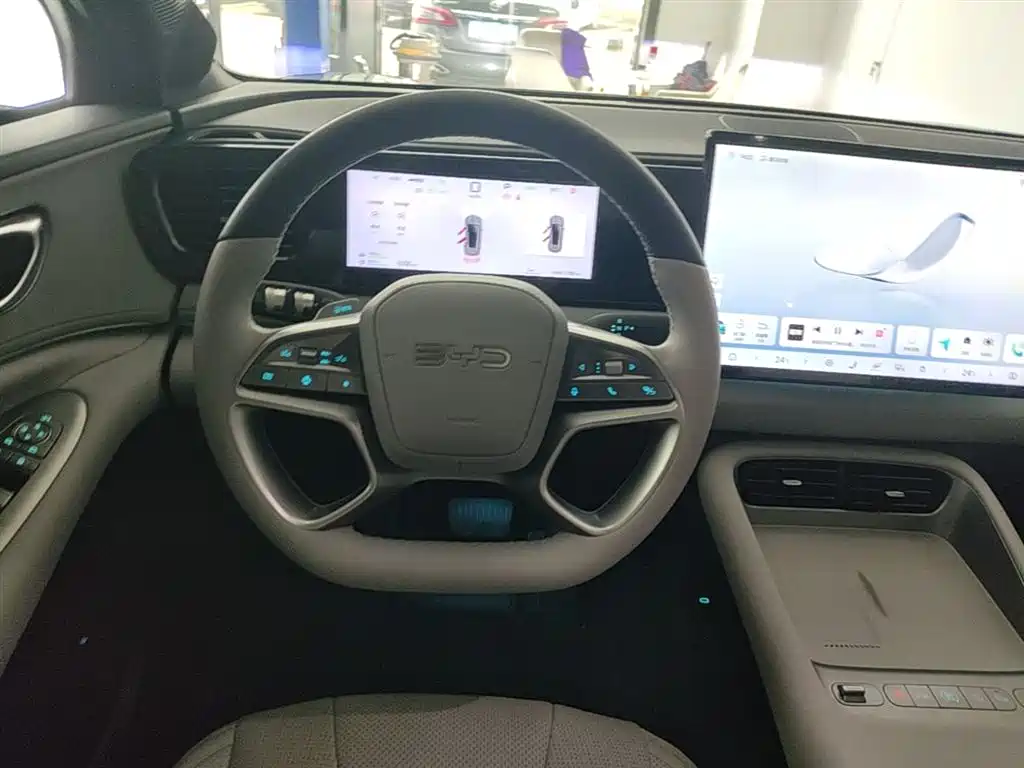 BYD Sealion 06 New Energy 2025 DM-i 170 Pilot Pro Edition фото 11