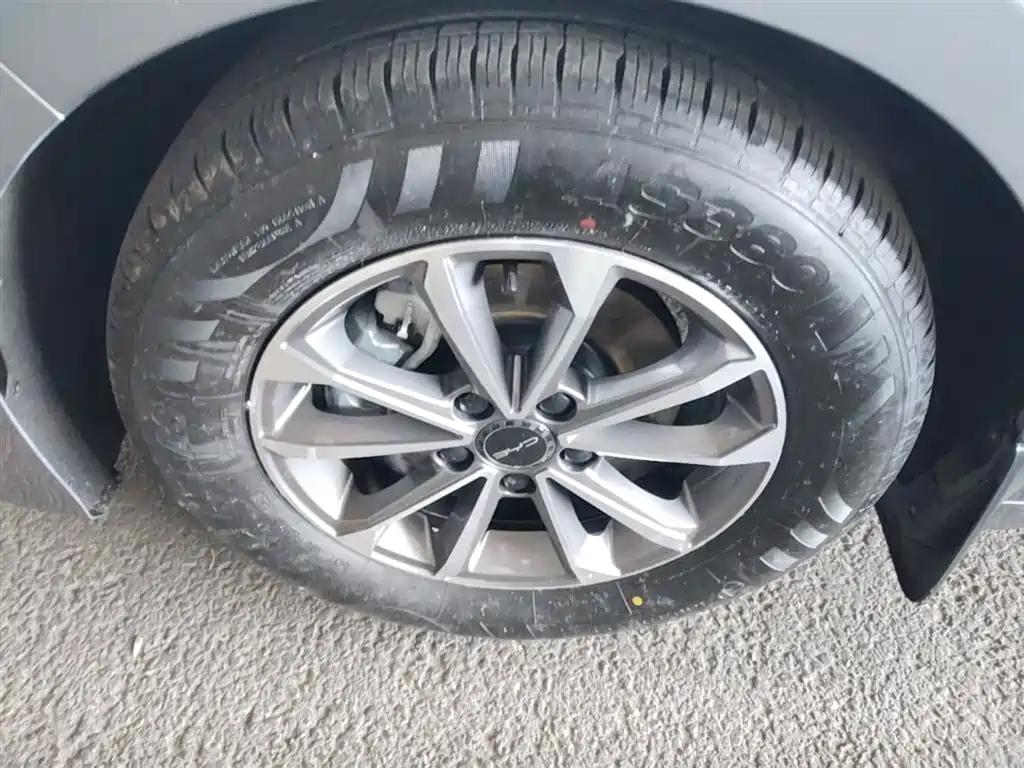 BYD Destroyer 05 2024 Glory Edition DM-i 55KM Luxury фото 23