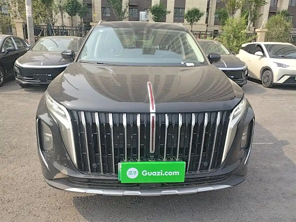 Hongqi HS7 PHEV 2024 2.0T PHEV AWD Qichang Edition 7-seater фото 3