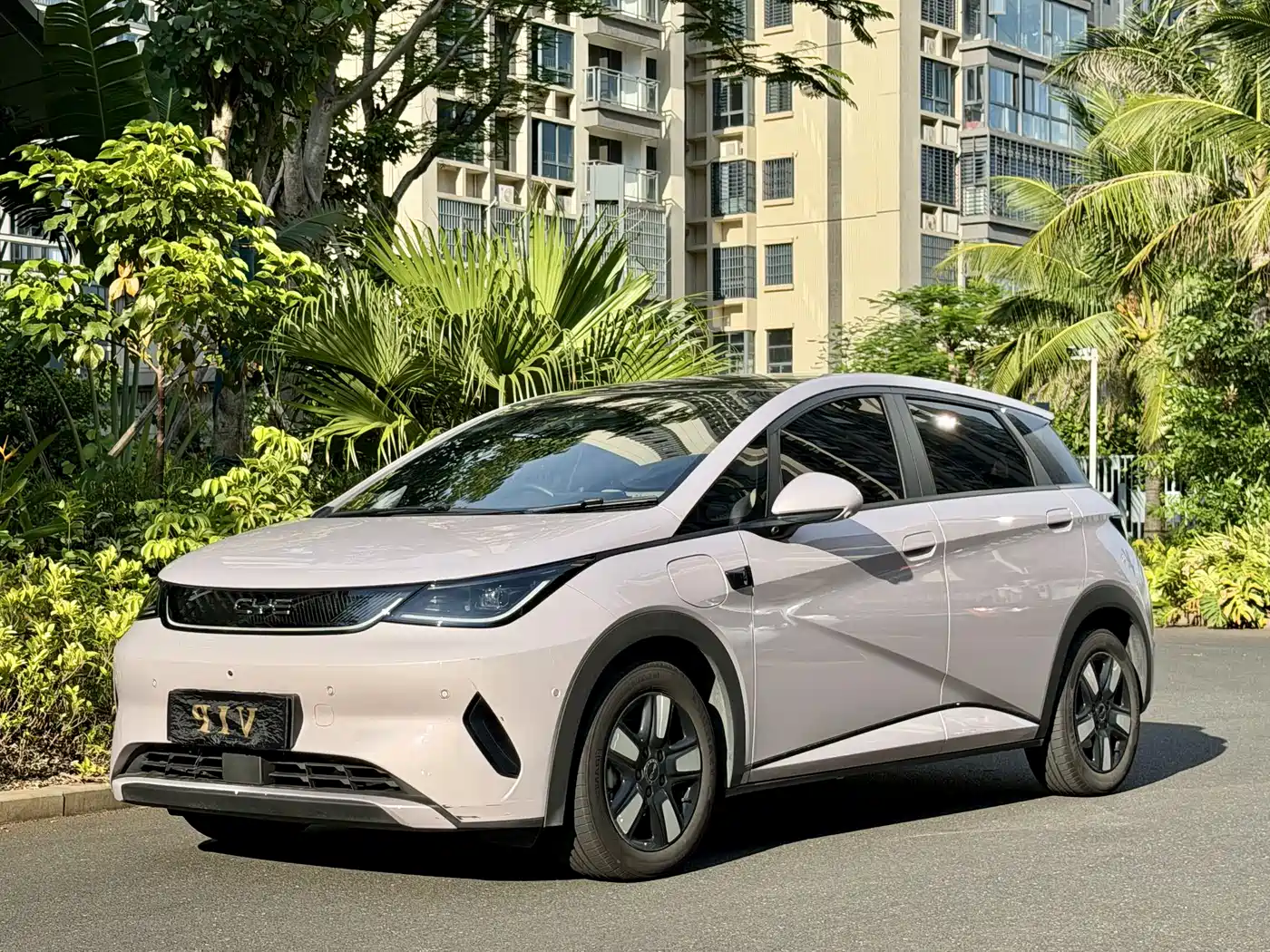 BYD Dolphin 2025 Smart Drive Edition 410km Fashion Version