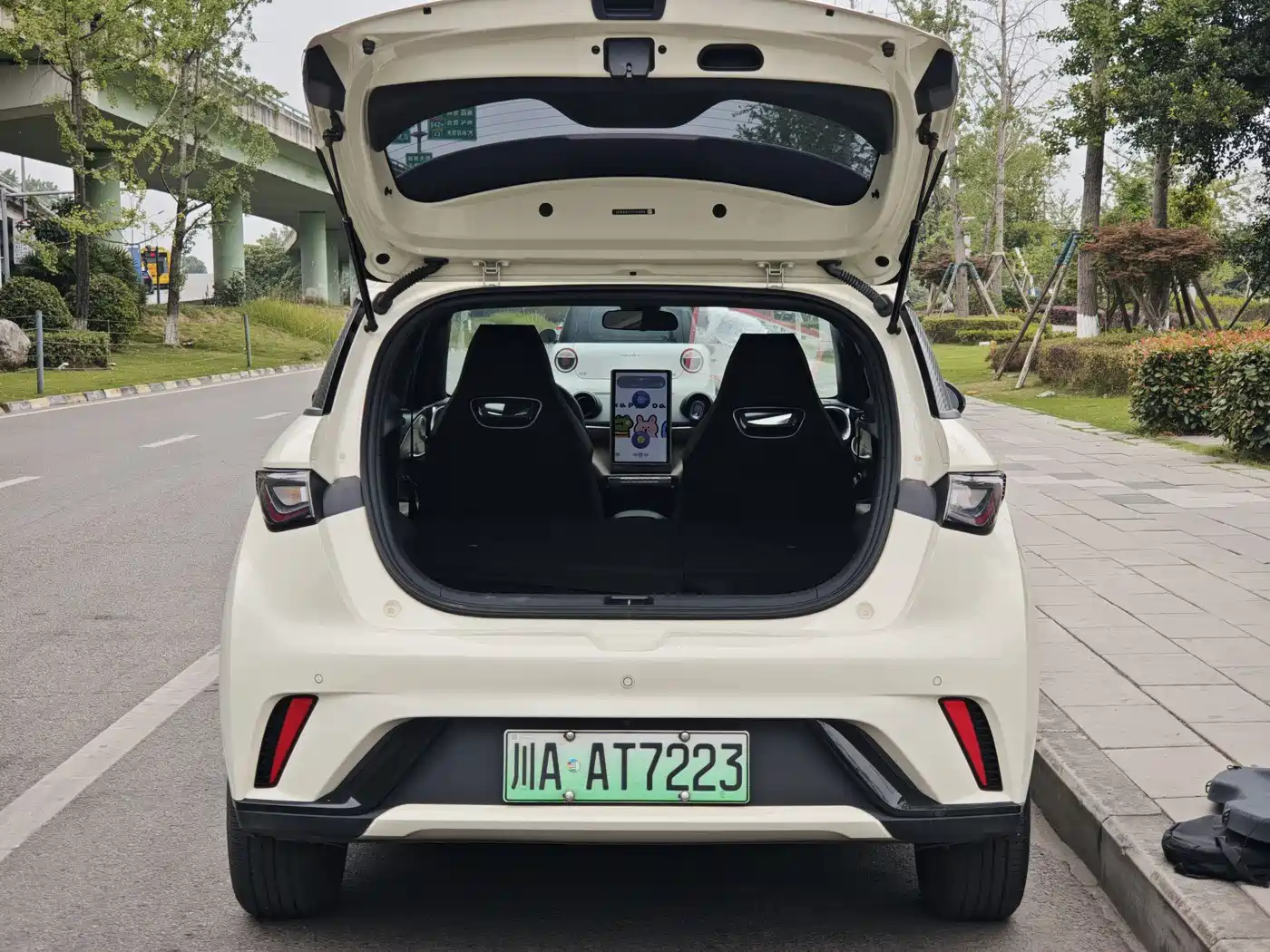 BYD Dolphin 2023 420km Fashion Edition фото 14