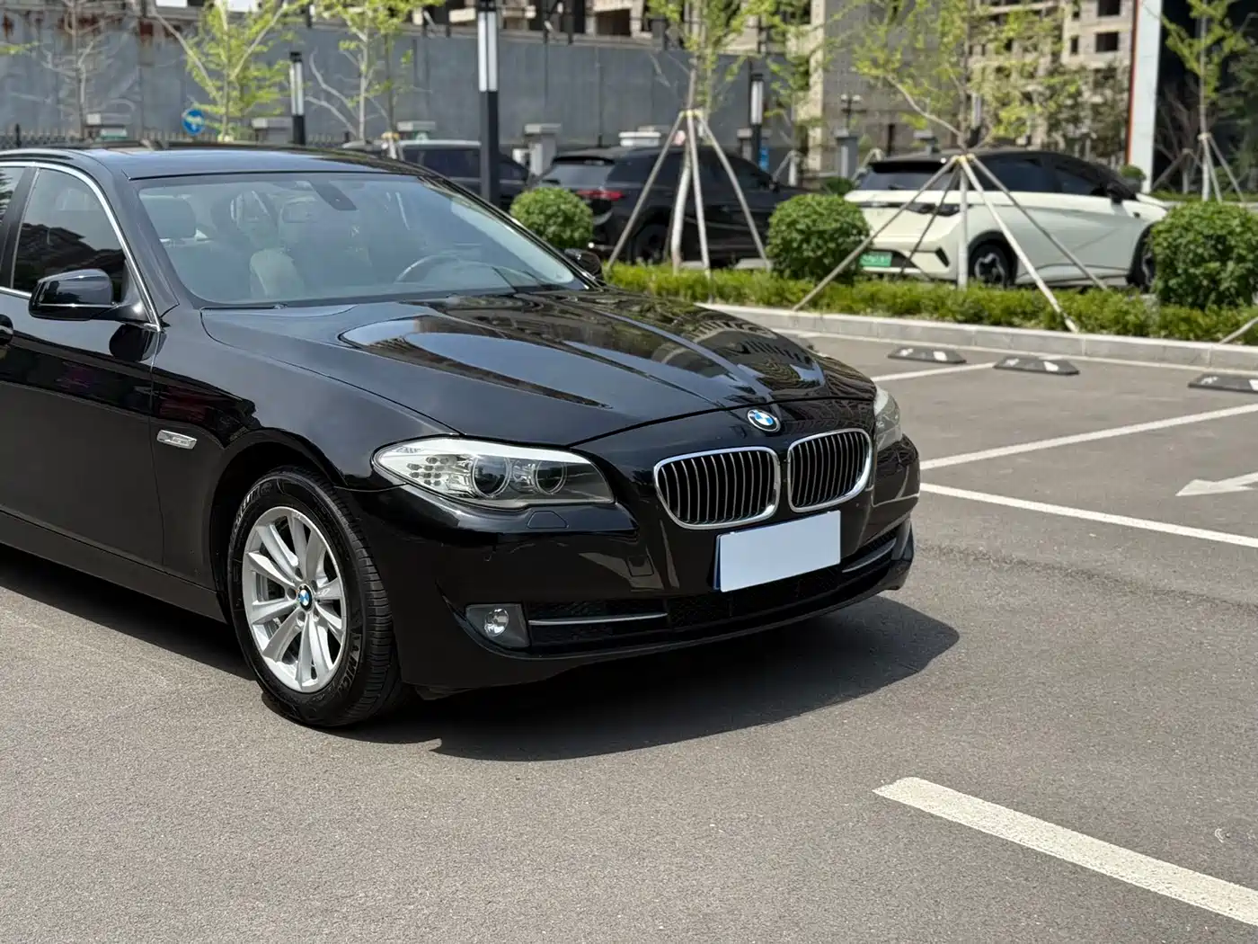 BMW 5 Series 2012 520Li Elegance фото 5