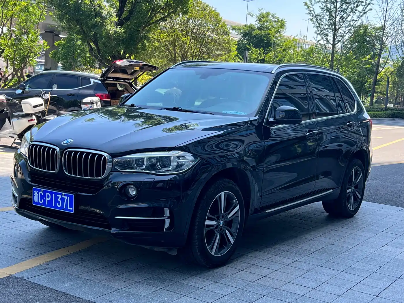 BMW X5 (Import) 2018 xDrive35i Elegant Model