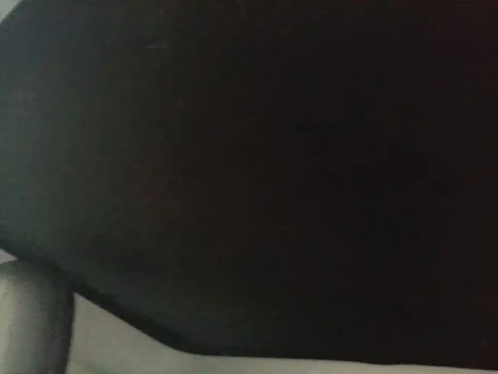 Tesla Model 3 2020 2020 Standard Range Rear-Wheel Drive Upgrade