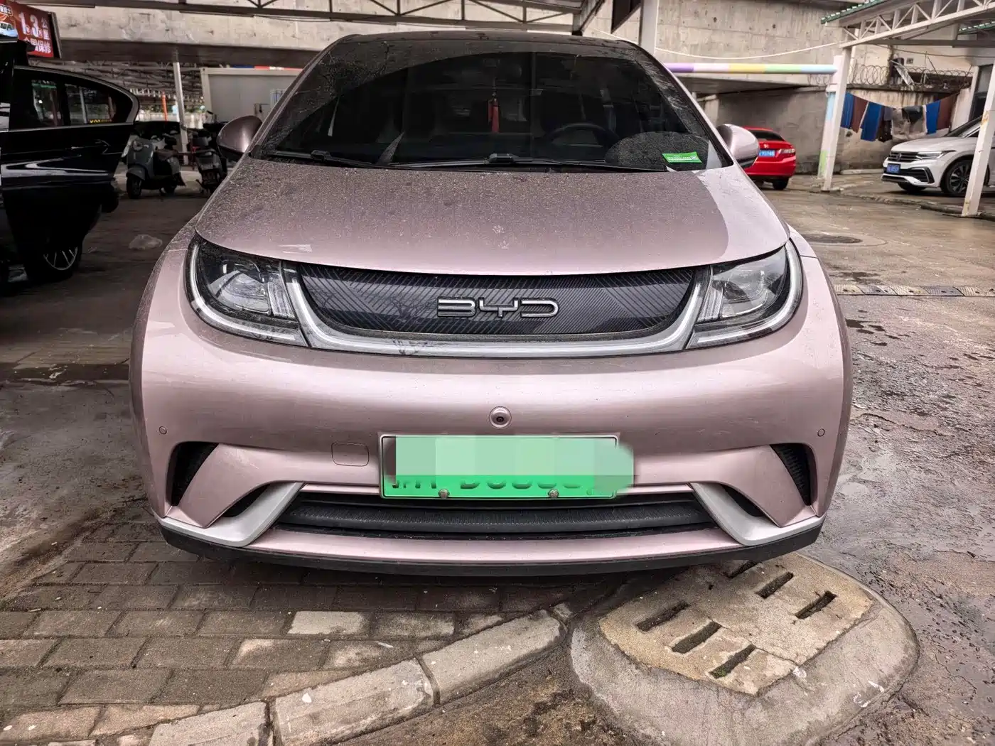 BYD Dolphin 2023 420km Fashion Edition фото 2