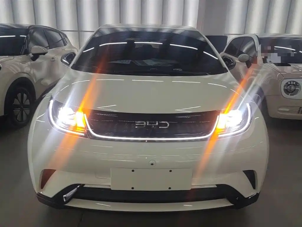 BYD Dolphin 2024 Glory Edition 420km Freedom Edition фото 3