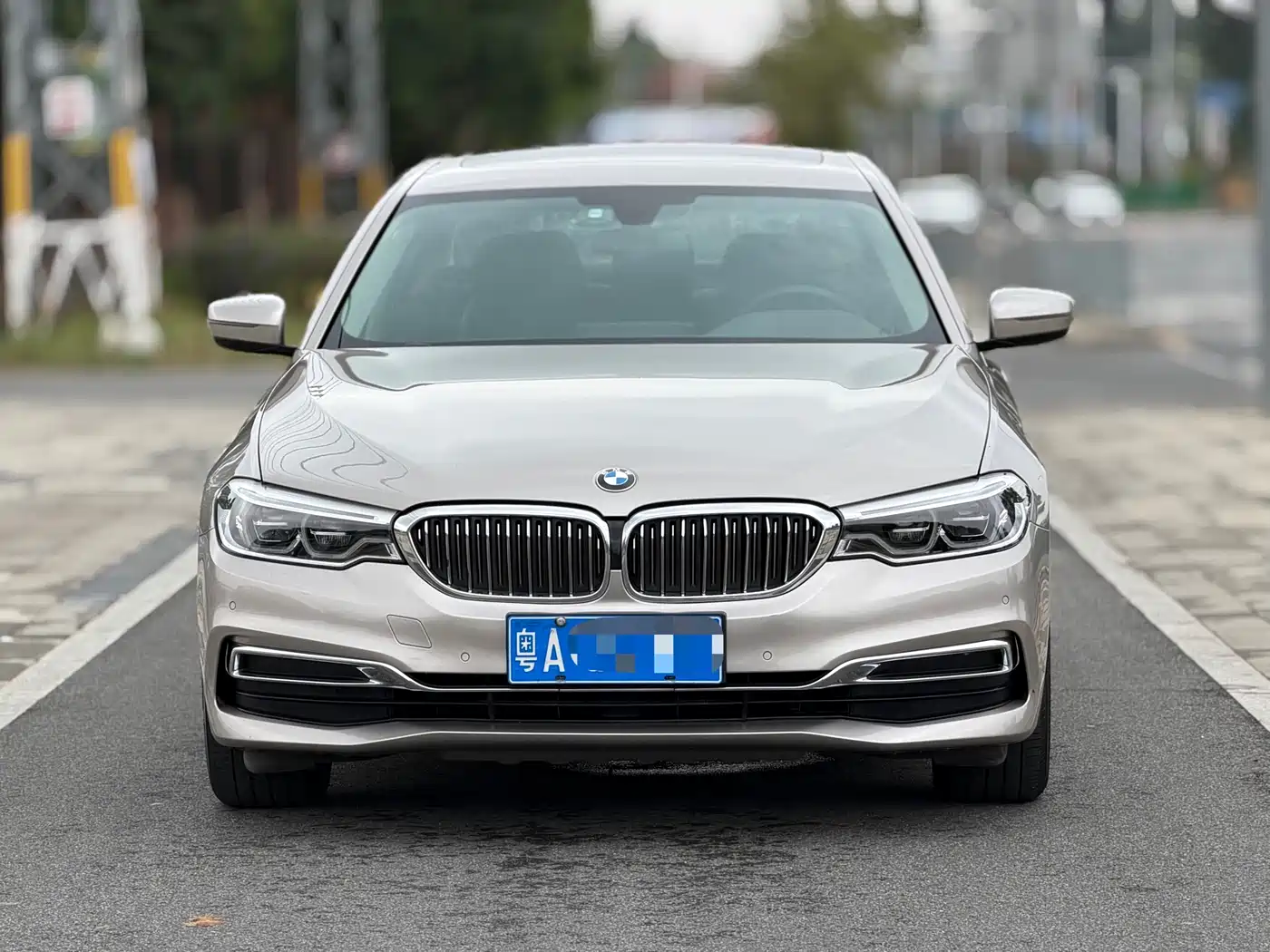 BMW 5 Series 2020 530Li Leading Luxury Package фото 3