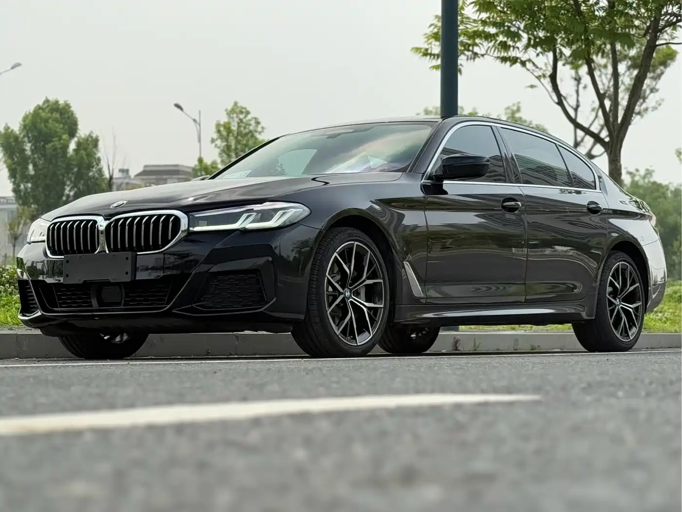 BMW 5 Series 2021 530Li Premium M Sport Package