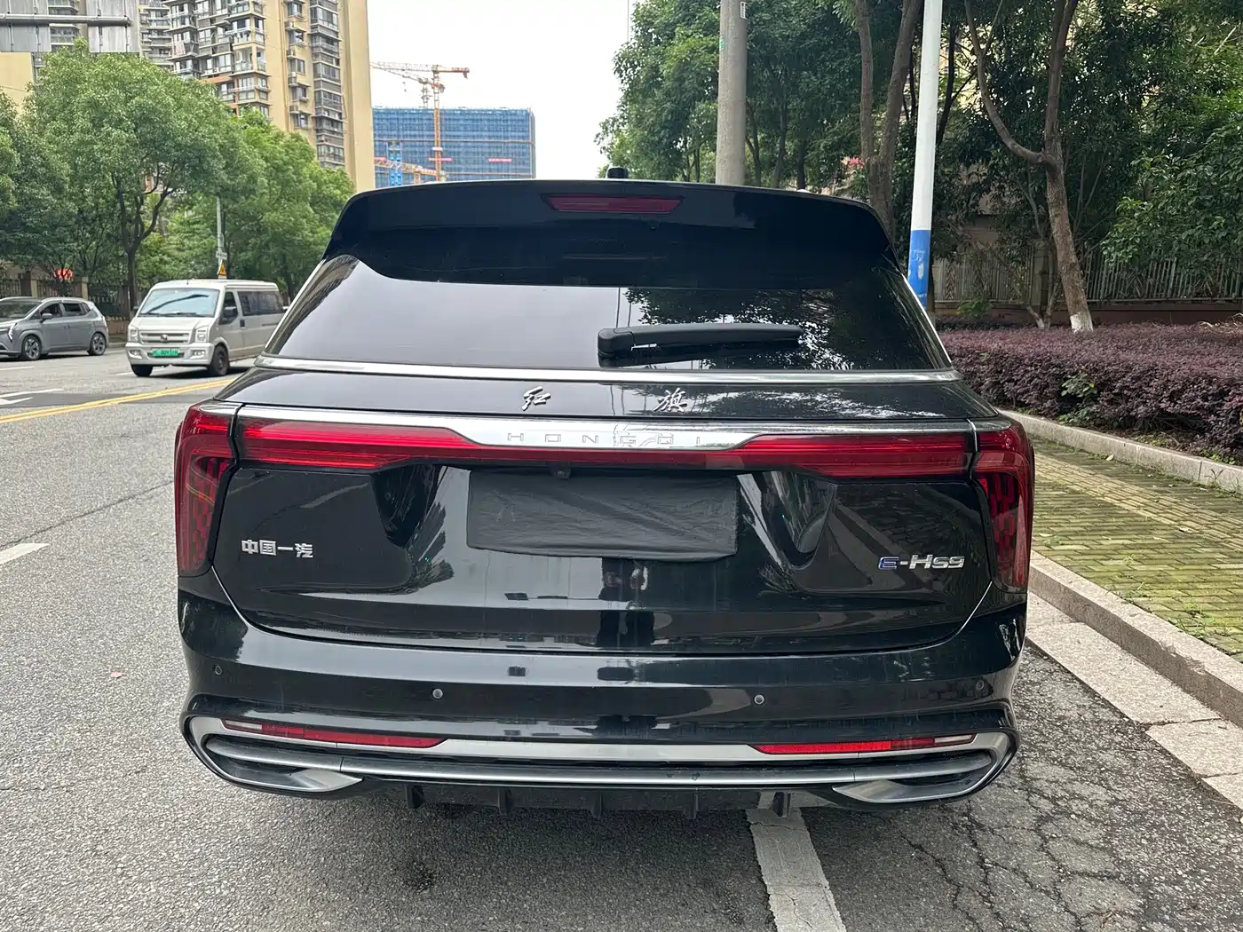 Hongqi E-HS9 2021 460km Flagship Comfort 6-seater фото 6
