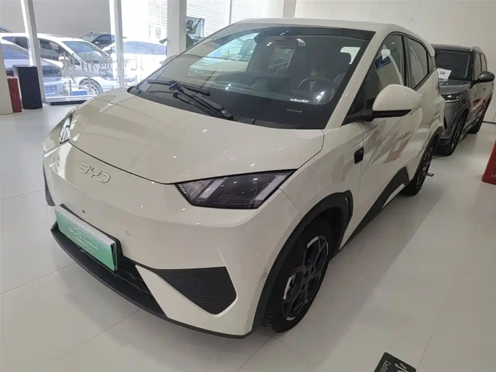BYD Seagull 2025 305km Freedom
