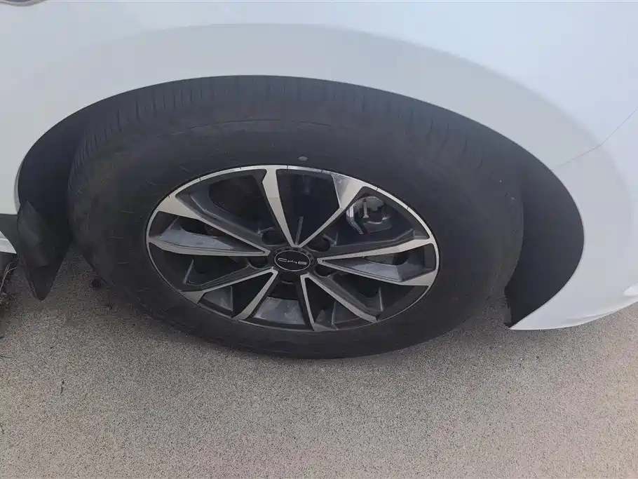 BYD Destroyer 05 2024 Glory Edition DM-i 55KM Luxury фото 6