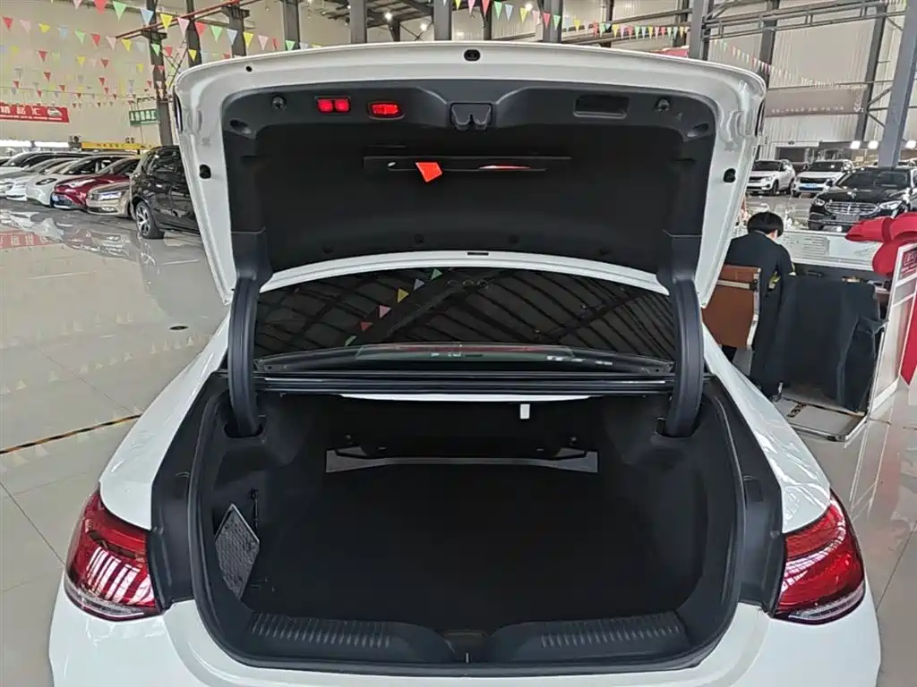 Mercedes-Benz CLS 2020 CLS 300 Dynamic фото 19