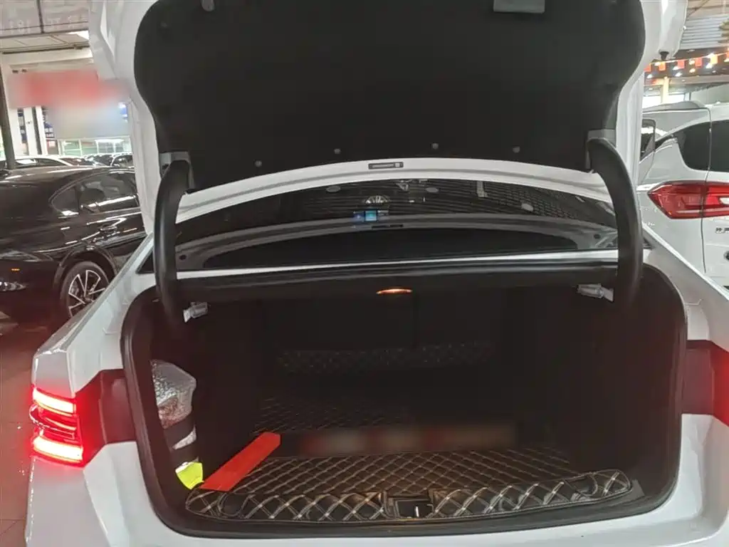 BYD QINHUANGDAO NEW ENERGY