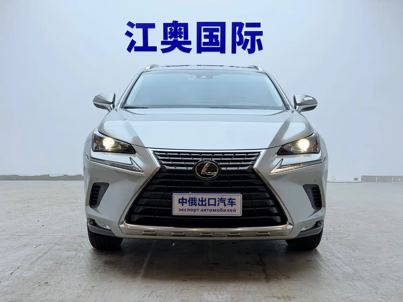 Lexus NX 2018 Model 200 AWD Fengshang Edition China V фото 2