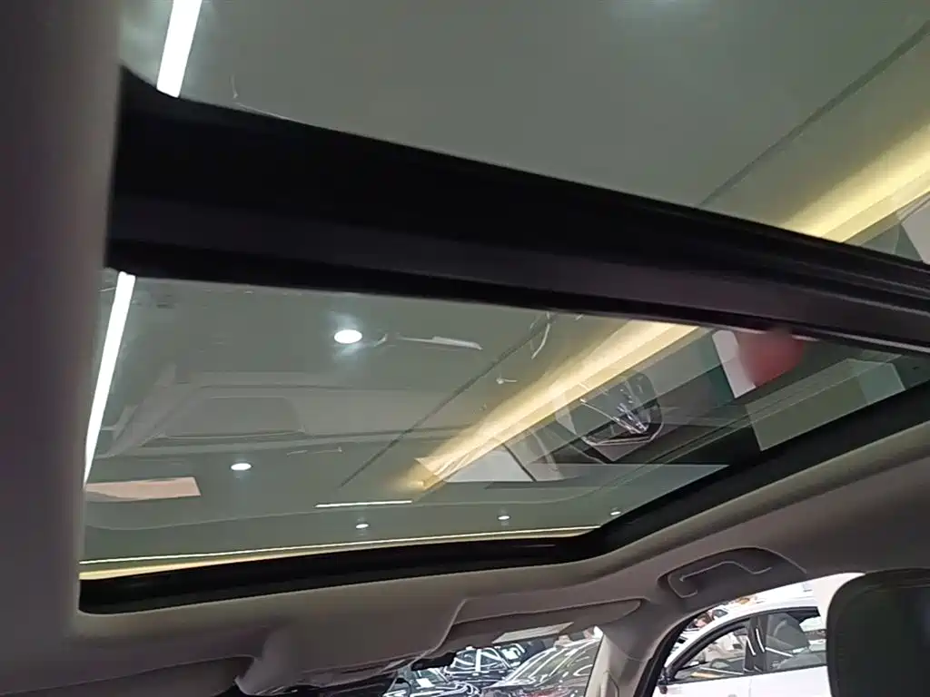 Haval Big Dog 2021 2.0T DCT 4WD Chinese Rural Dog Edition фото 18