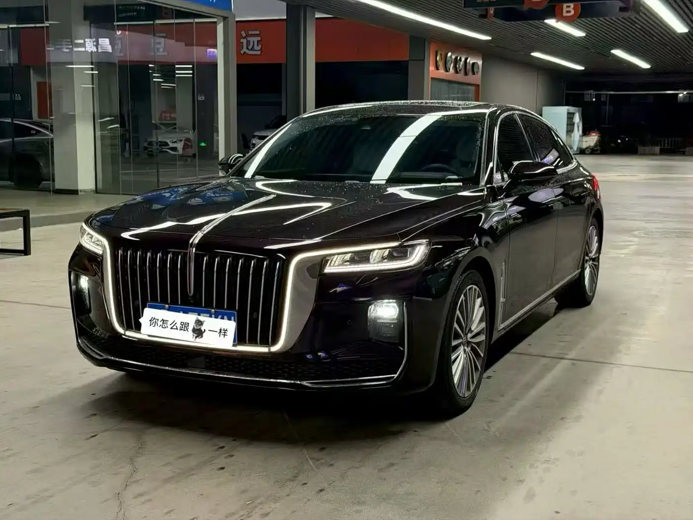 Hongqi H9 2022 2.0T Smart Connect Flag Smooth Edition