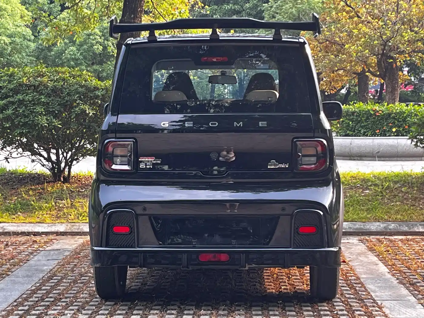 Geely Galaxy Panda 2025 Model Year 210km Panda Kart фото 28