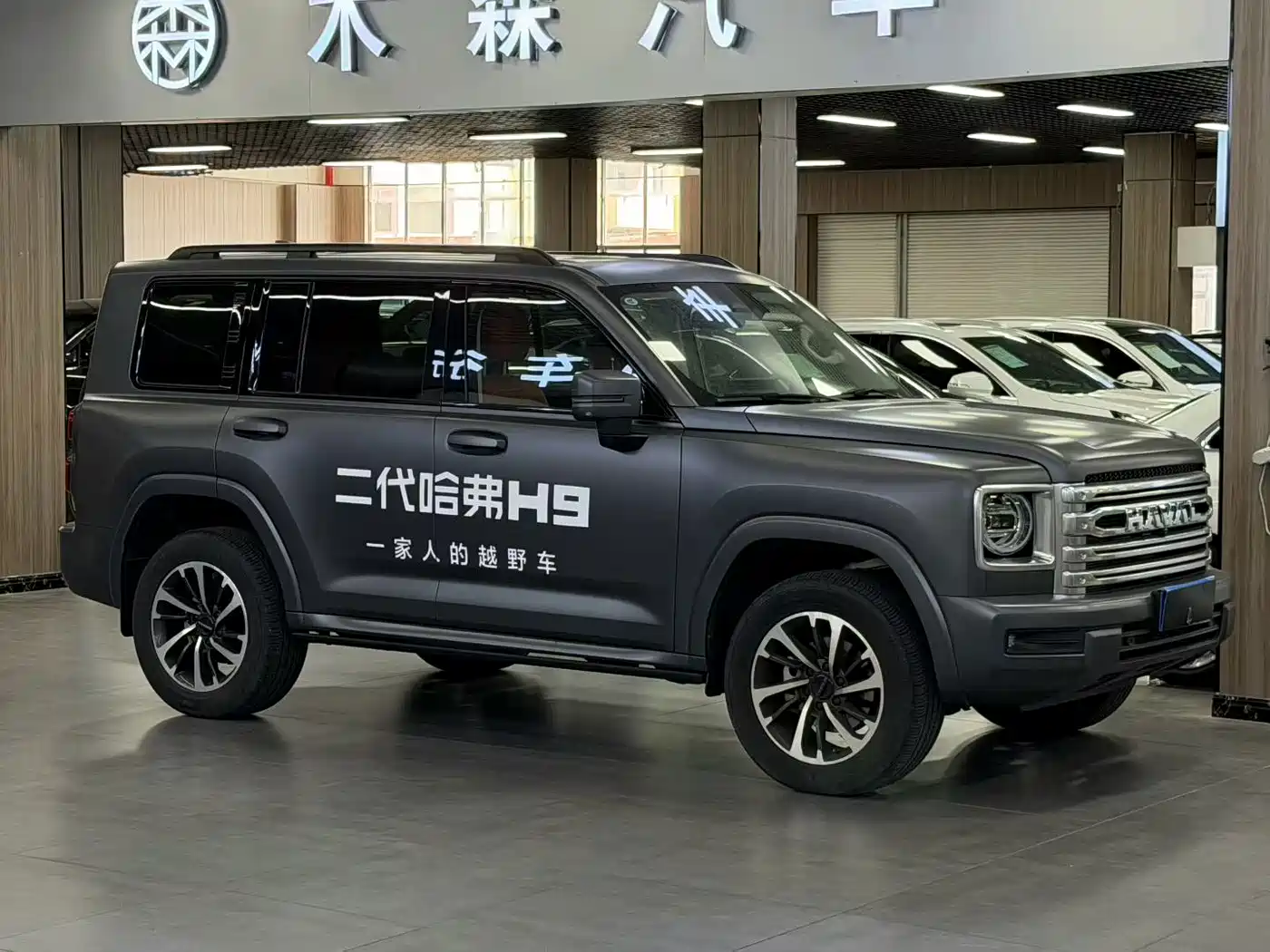 Haval H9 2024 2024 2.0T Gasoline AWD Extreme Edition