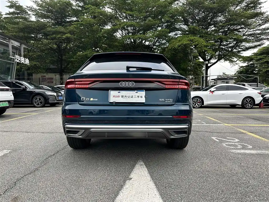 Audi Q8 2019 2019 55 TFSI Supreme Limited Edition