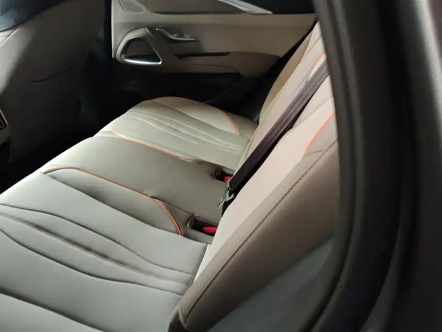 BYD Song Pro New Energy 2024 Glory Edition DM-i 71KM Pilot фото 11