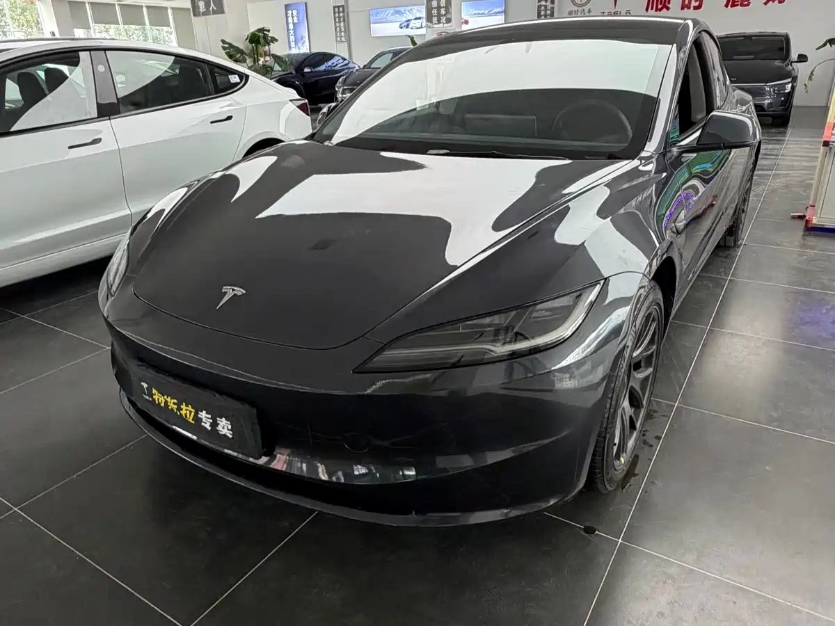 Tesla Model 3 2025 Model Rear-Wheel Drive Edition