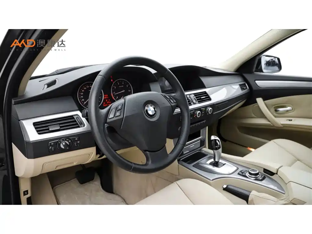 BMW 5 Series 2009 520Li Premium фото 6