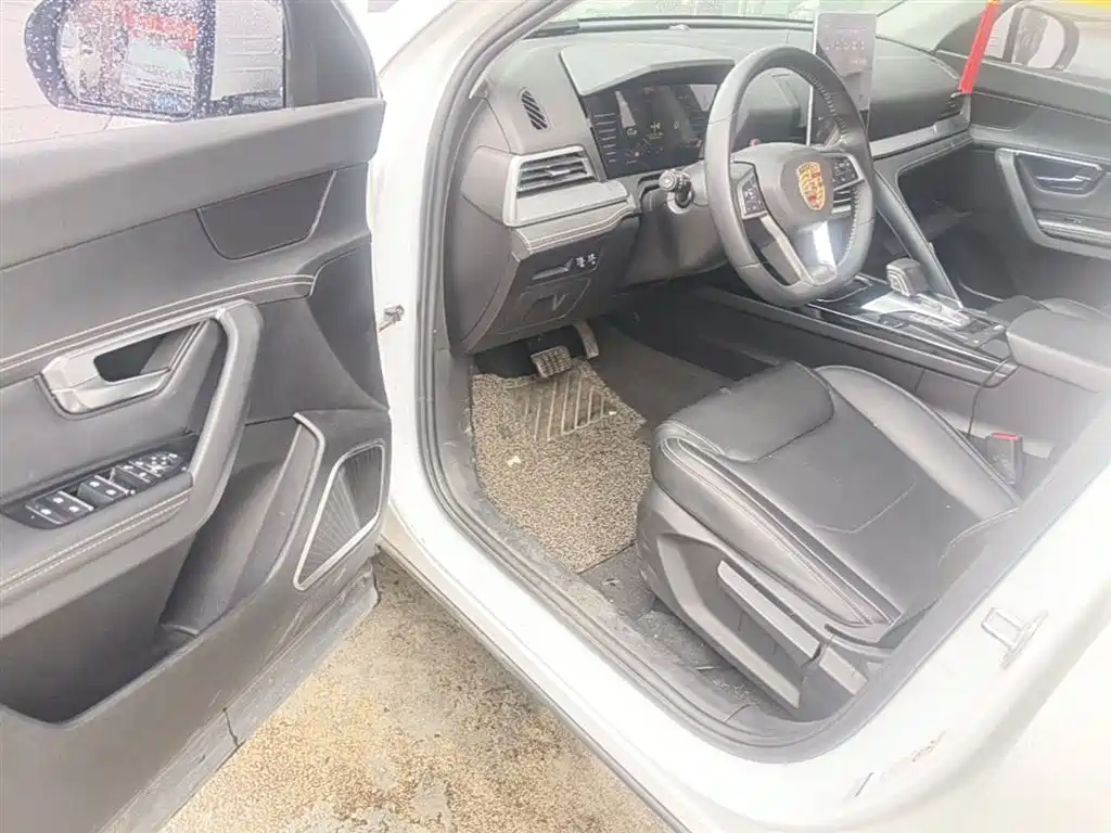 BYD Song Pro 2019 1.5T Automatic Luxury фото 16