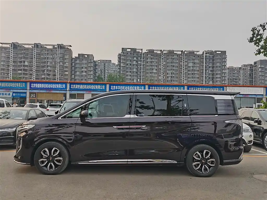 Hongqi HQ9 2023 2.0T Smart Connect Flag Smooth Edition фото 4