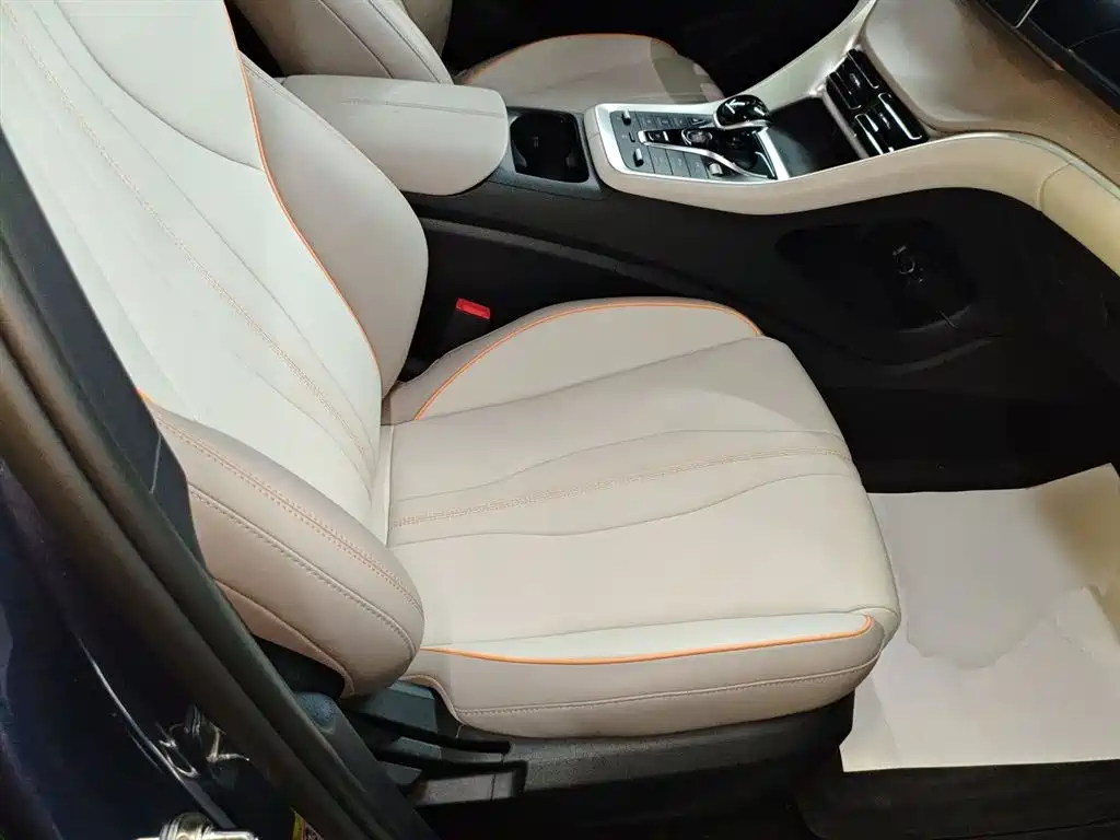 BYD Song Pro New Energy 2024 Glory Edition DM-i 71KM Pilot фото 20
