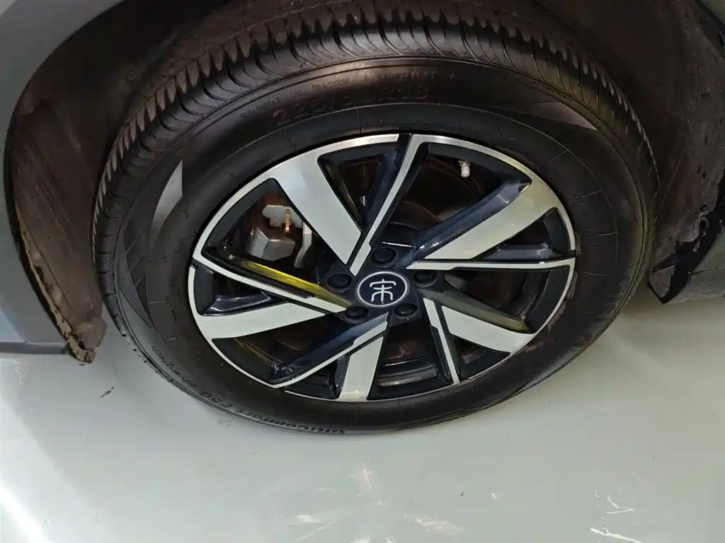 BYD Song Pro New Energy 2024 Glory Edition DM-i 71KM Pilot фото 25
