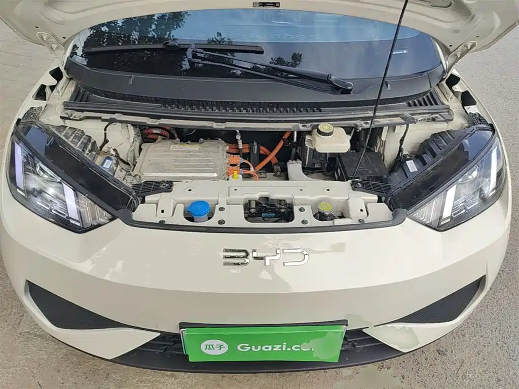 BYD Seagull 2025 Smart Drive Edition 305km Vitality Version фото 20