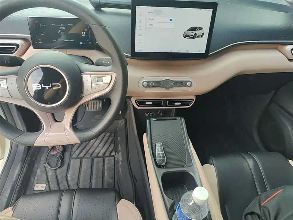 BYD Seagull 2025 Smart Drive Edition 305km Vitality Version фото 10