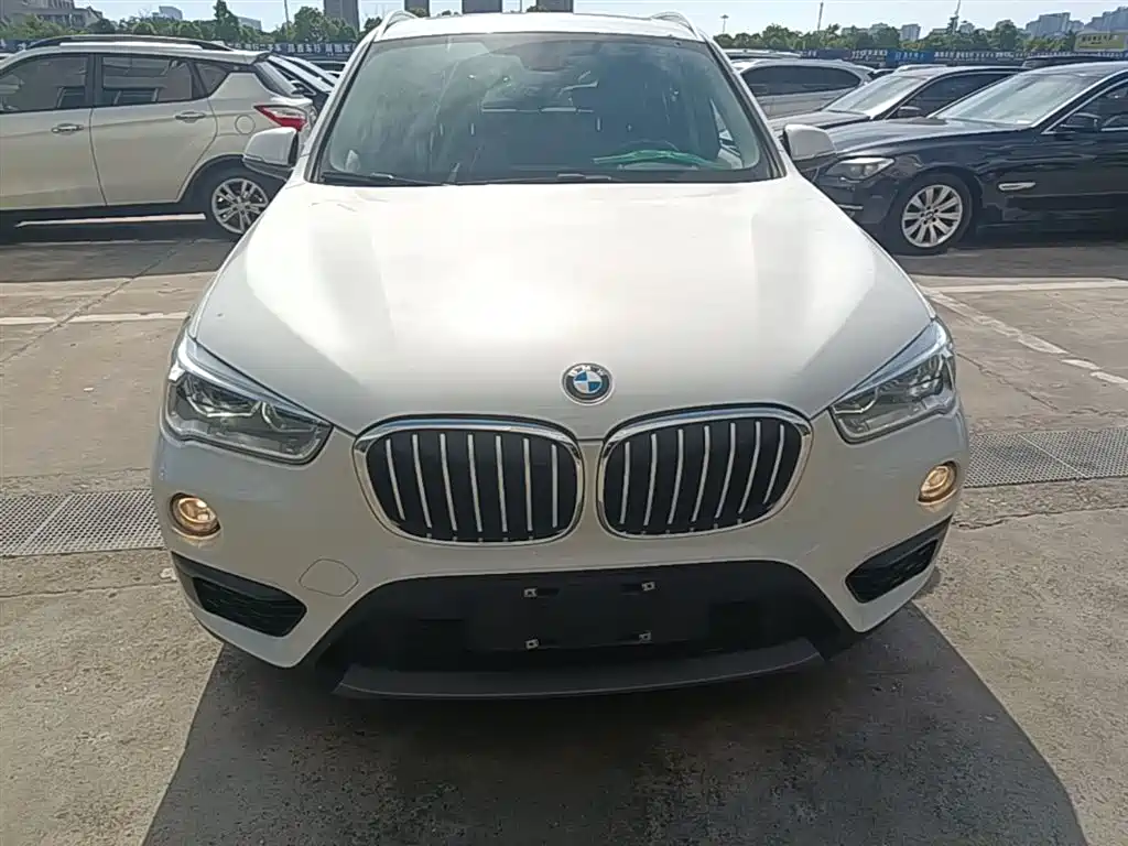 BMW X1 2018 sDrive20Li Leading Model фото 3