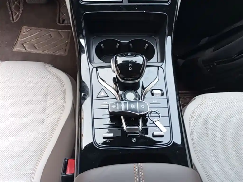 BYD Qin PLUS 2024 Glory Edition DM-i 55KM Leading фото 14