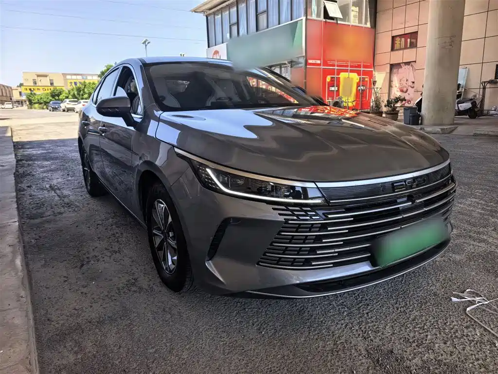 BYD Destroyer 05 2024 Glory Edition DM-i 55KM Luxury фото 8
