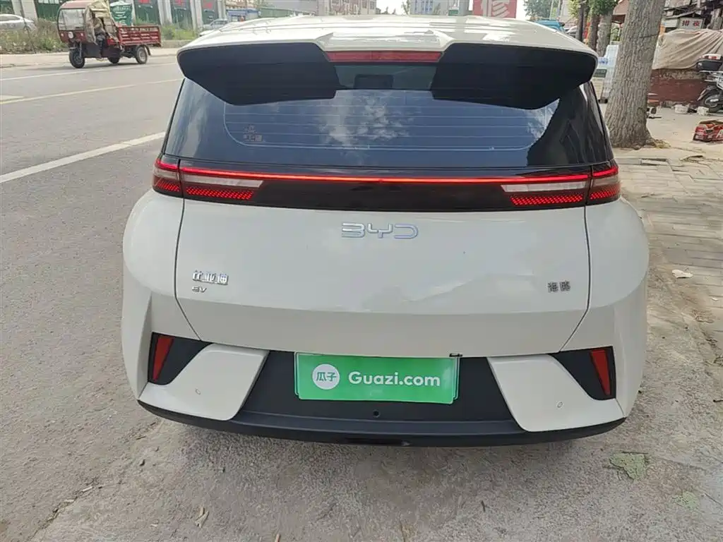 BYD Seagull 2025 Smart Drive Edition 305km Vitality Version фото 6